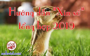 Xin số đề miễn phí - Hướng dẫn cách xin số - Tổng hợp xin số 2024