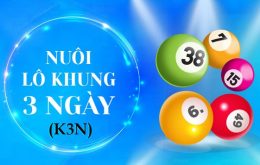 Phương pháp nuôi dàn đề khung 3 ngày