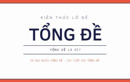 cach-tinh-tong-de-trong-lo-de-rat-don-gian