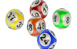 Bí quyết nuôi lô khung 5 ngày cho người mới