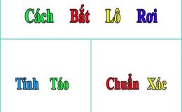 bat-lo-roi-chuan-xac