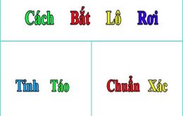 bat-lo-roi-chuan-xac