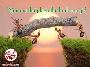 Xin số đề miễn phí - Hướng dẫn cách xin số - Tổng hợp xin số 2025