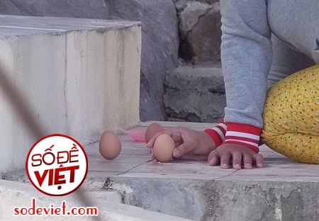 Xin số đề miễn phí - Hướng dẫn cách xin số - Tổng hợp xin số 2025