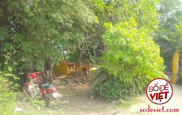 Xin số đề miễn phí - Hướng dẫn cách xin số - Tổng hợp xin số 2025