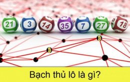 bach-thu-lo-la-gi