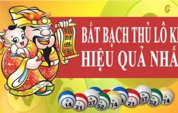 cach bat lo kep mien bac chuan xac 100% de trung nhat hinh anh 1